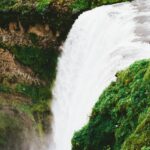 罗永浩数字人带火AI直播 明星达人抢入局